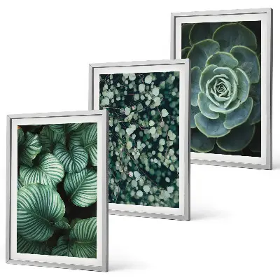 Wall art set green leaves succulent style