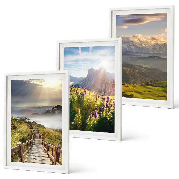 Mountain landscape with flowers wall art set