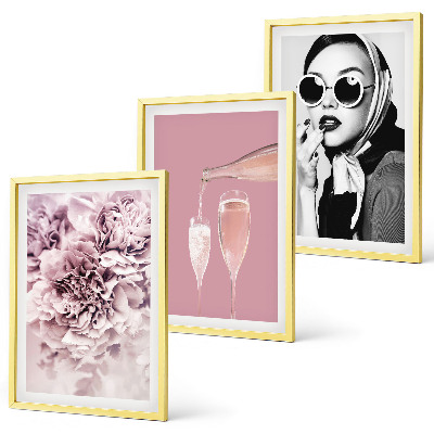 Set of 3 framed wall art pieces Rose flowers and an elegant lady