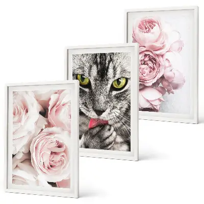 Set of 3 framed wall art pieces featuring a cat in pink flowers