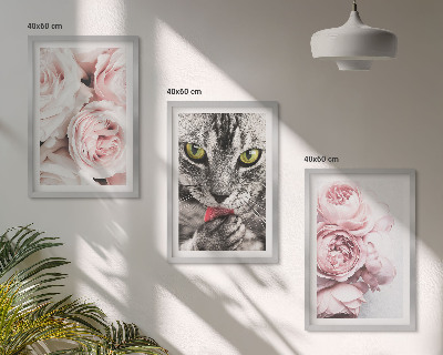 Set of 3 framed wall art pieces Cat in pink flowers