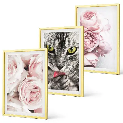 Set of 3 framed wall art pieces featuring a cat in pink flowers
