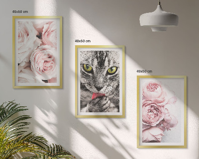 Set of 3 framed wall art pieces Cat in pink flowers