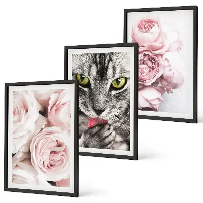 Set of 3 framed wall art pieces featuring a cat in pink flowers