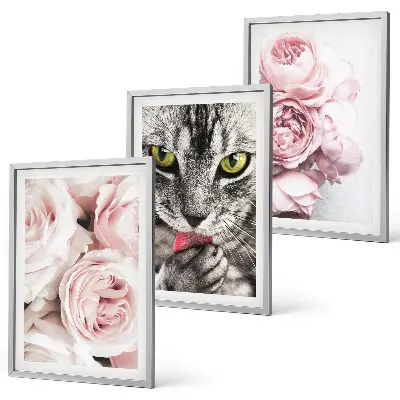 Set of 3 framed wall art pieces featuring a cat in pink flowers