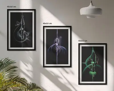 Wall art set Abstract black color patterns