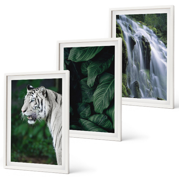 Set of 3 framed wall art pieces White tiger leaves waterfall
