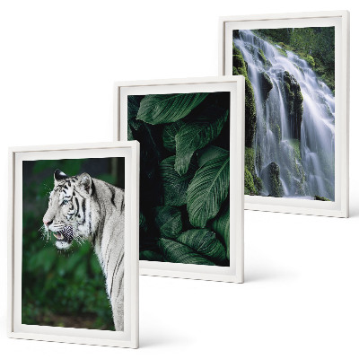 Set of 3 framed wall art pieces White tiger leaves waterfall