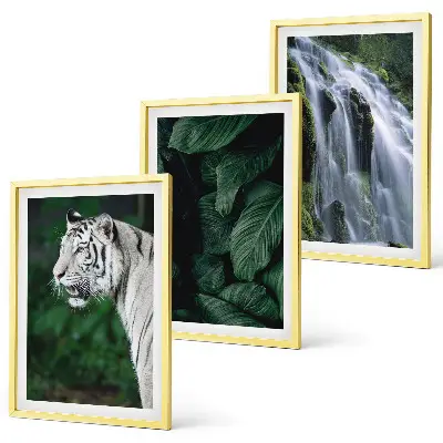 Set of 3 framed wall art pieces featuring a white tiger in a jungle waterfall