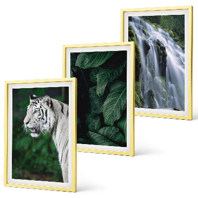 Set of 3 framed wall art pieces White tiger leaves waterfall