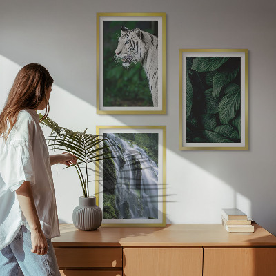 Set of 3 framed wall art pieces White tiger leaves waterfall