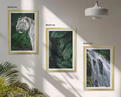 Set of 3 framed wall art pieces featuring a white tiger in a jungle waterfall