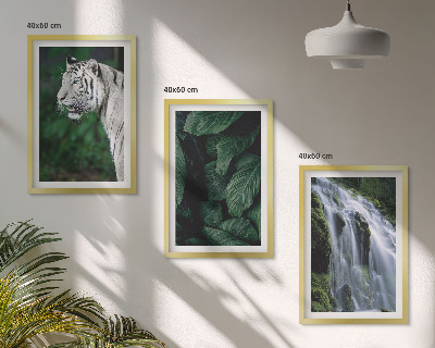Set of 3 framed wall art pieces White tiger leaves waterfall