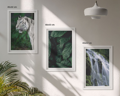 Set of 3 framed wall art pieces White tiger leaves waterfall