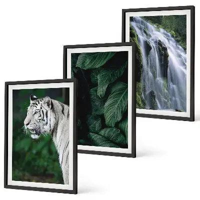 Set of 3 framed wall art pieces featuring a white tiger in a jungle waterfall