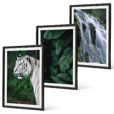 Set of 3 framed wall art pieces White tiger leaves waterfall