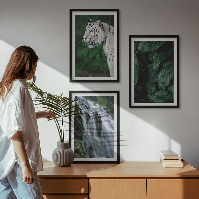 Set of 3 framed wall art pieces White tiger leaves waterfall