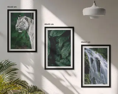 Set of 3 framed wall art pieces featuring a white tiger in a jungle waterfall