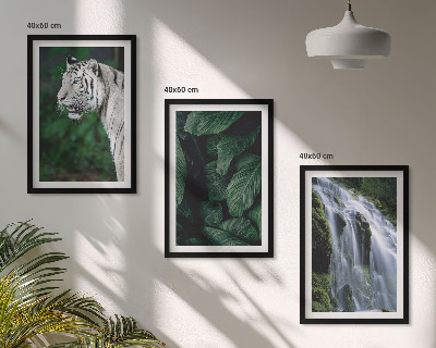 Set of 3 framed wall art pieces White tiger leaves waterfall