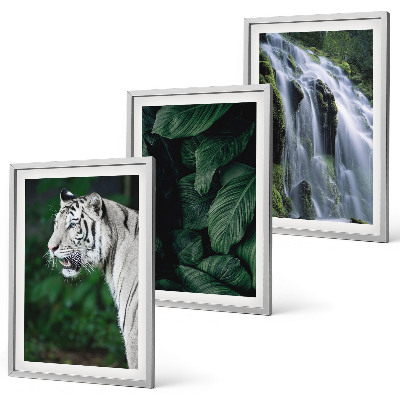 Set of 3 framed wall art pieces White tiger leaves waterfall