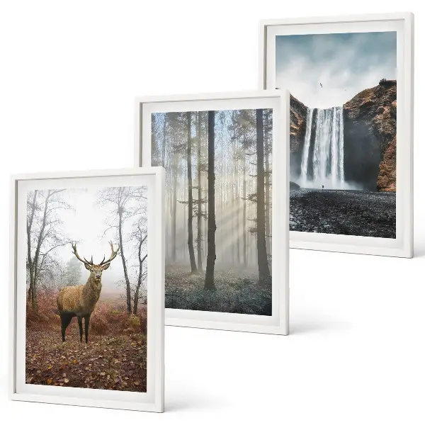 Forest landscapes wall art set featuring wild nature scenes