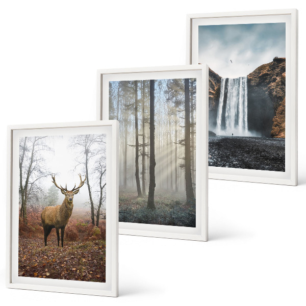Wall art set Forest landscapes wild nature