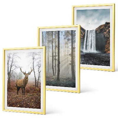 Wall art set Forest landscapes wild nature