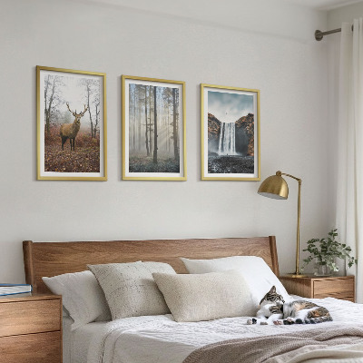 Wall art set Forest landscapes wild nature