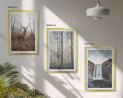 Wall art set Forest landscapes wild nature