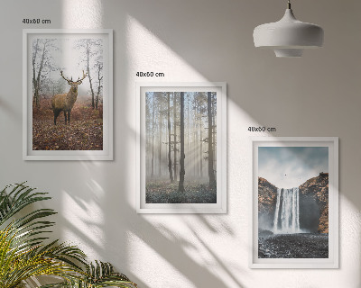 Wall art set Forest landscapes wild nature