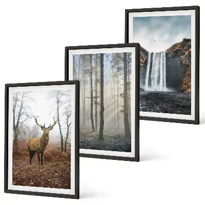 Forest landscapes wall art set featuring wild nature scenes