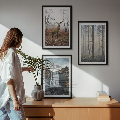 Wall art set Forest landscapes wild nature