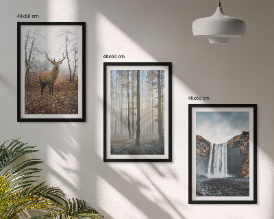 Wall art set Forest landscapes wild nature
