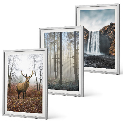 Wall art set Forest landscapes wild nature