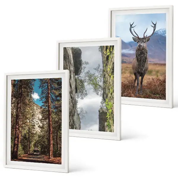 Set of 3 framed wall art pieces featuring a road through a forest with mountains and a deer
