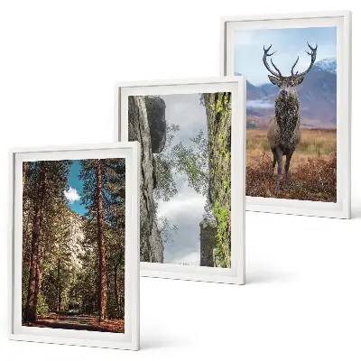 Set of 3 framed wall art pieces featuring a road through a forest with mountains and a deer