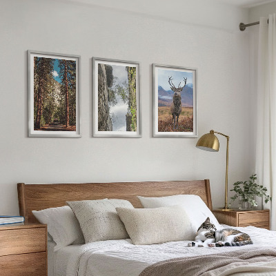 Set of 3 framed wall art pieces Road forest mountains deer nature
