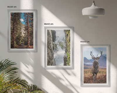 Set of 3 framed wall art pieces Road forest mountains deer nature