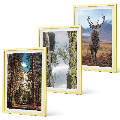 Set of 3 framed wall art pieces Road forest mountains deer nature