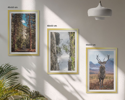 Set of 3 framed wall art pieces Road forest mountains deer nature