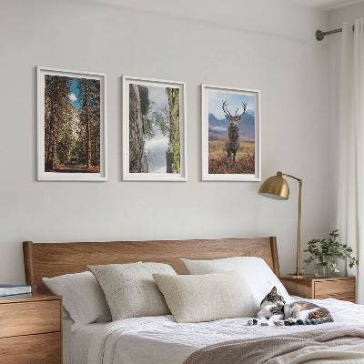 Set of 3 framed wall art pieces Road forest mountains deer nature