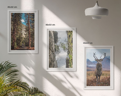 Set of 3 framed wall art pieces Road forest mountains deer nature