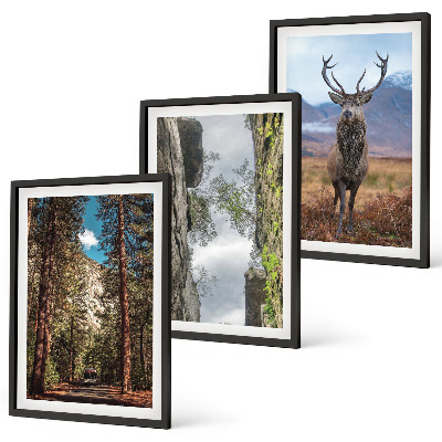 Set of 3 framed wall art pieces Road forest mountains deer nature