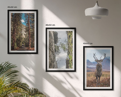 Set of 3 framed wall art pieces Road forest mountains deer nature