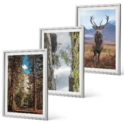 Set of 3 framed wall art pieces Road forest mountains deer nature