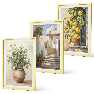 Set of 3 framed wall art pieces Plants in pots, lemons, street