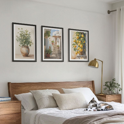 Set of 3 framed wall art pieces Plants in pots, lemons, street