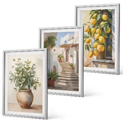 Set of 3 framed wall art pieces Plants in pots, lemons, street