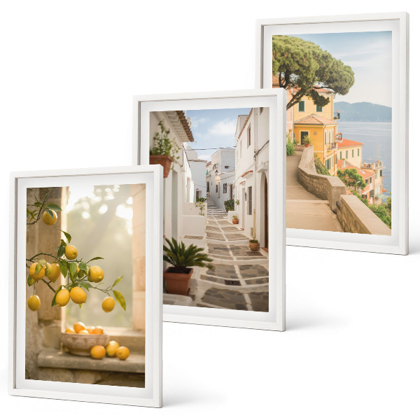 Wall art set Citrus tree window view