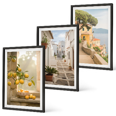 Wall art set Citrus tree window view